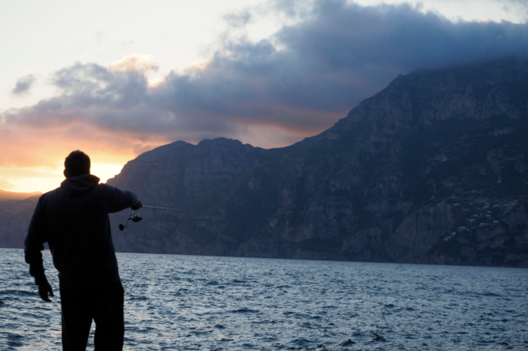 Peter Friedrich "Fang den Fisch"